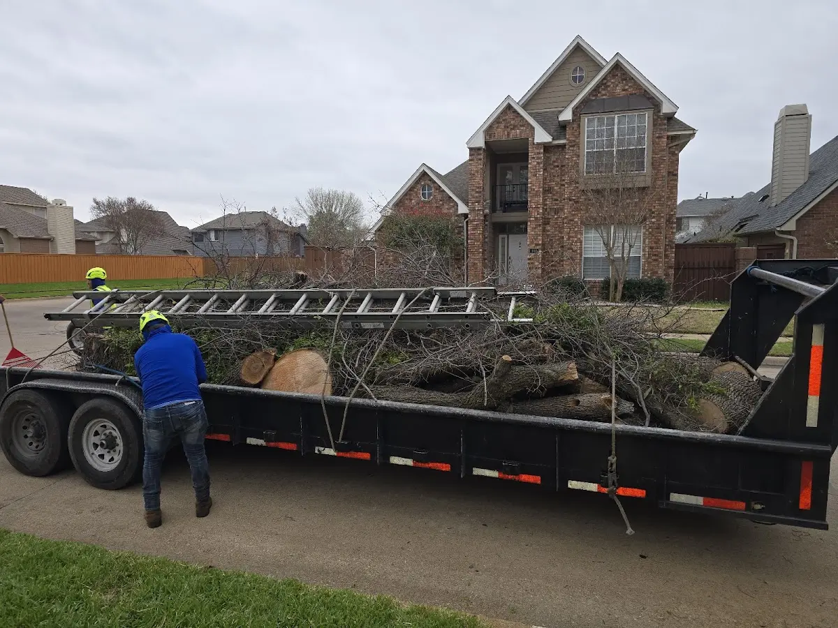 Expert Tree Removal with proper safety equipment in Radisson